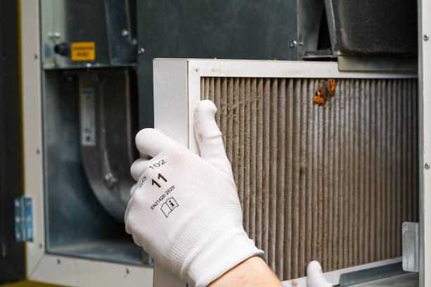 Best Home Air Vent Cleaning  in Janesville, WI